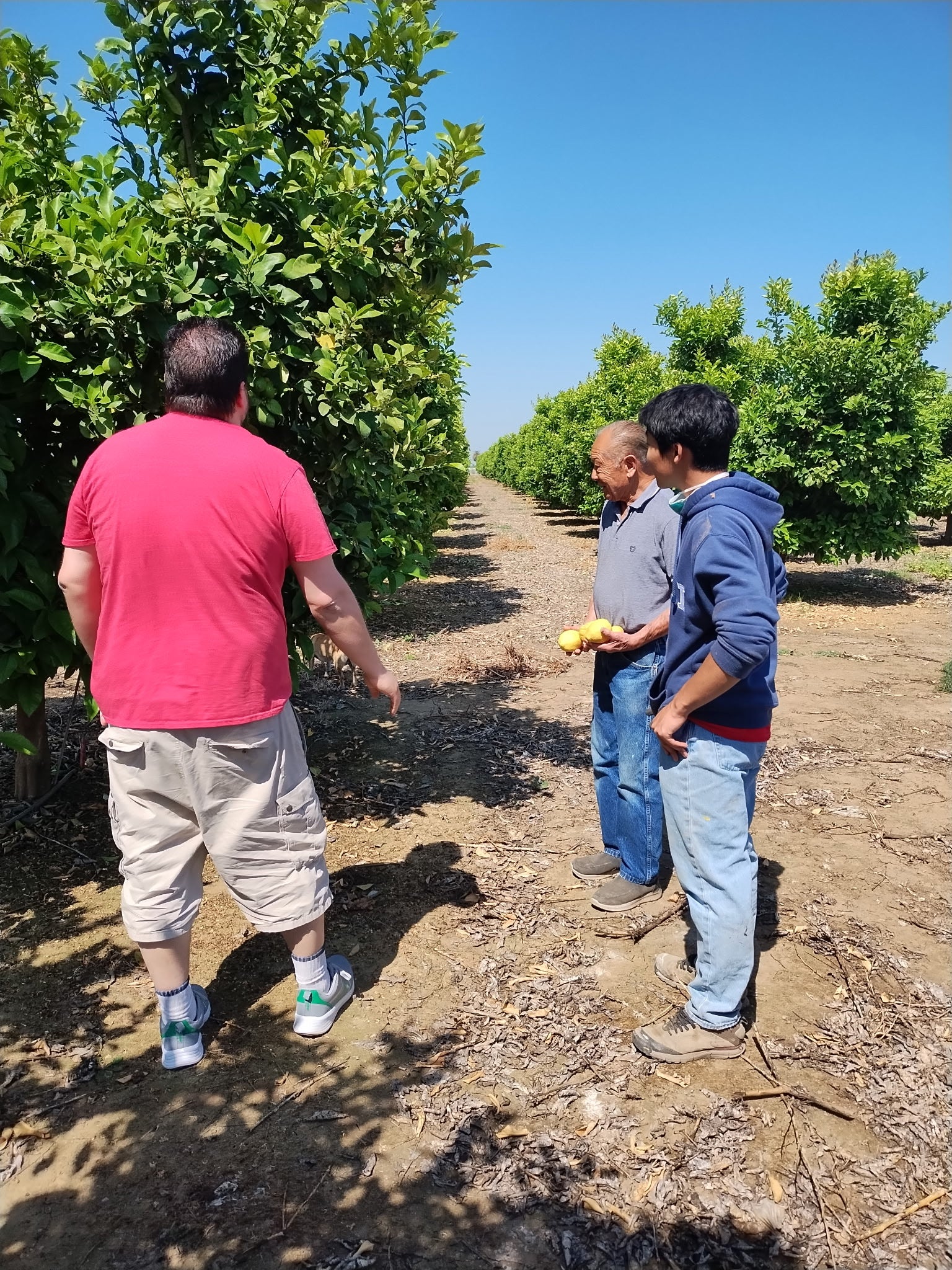 Farm Tour